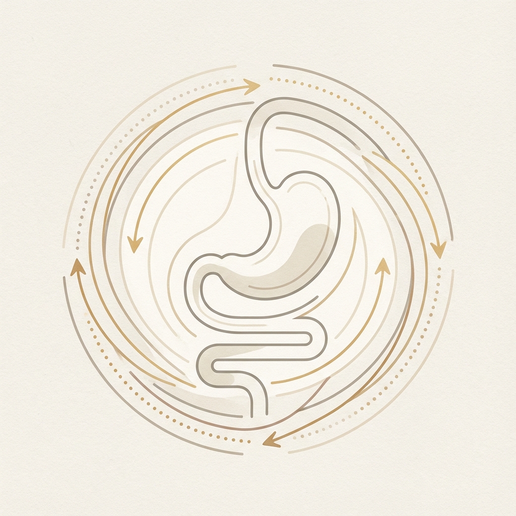 위장 기능을 살리는 담적 치료 원리